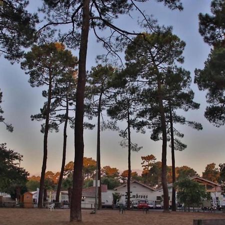 Hotel A La Brise Du Ferret Lège-Cap-Ferret Exteriér fotografie
