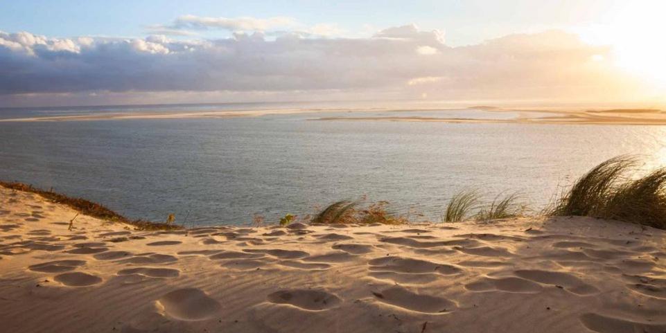 Hotel A La Brise Du Ferret Lège-Cap-Ferret Exteriér fotografie