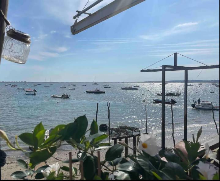 Hotel A La Brise Du Ferret Lège-Cap-Ferret Exteriér fotografie